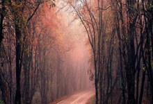 助游上岸，发3枚1024草榴邀请码。