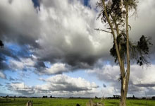 草榴邀请码,草榴社区邀请码和小草邀请码